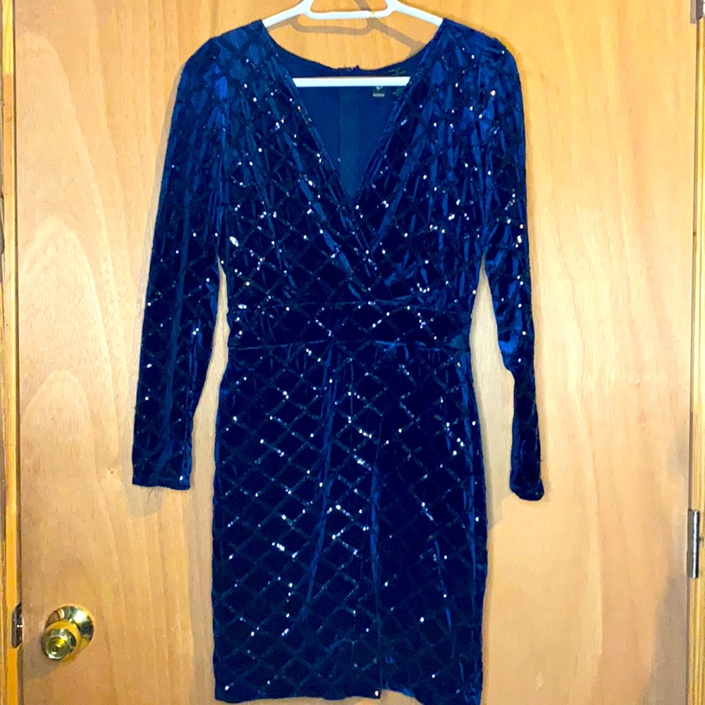 Winter sequin Dress
